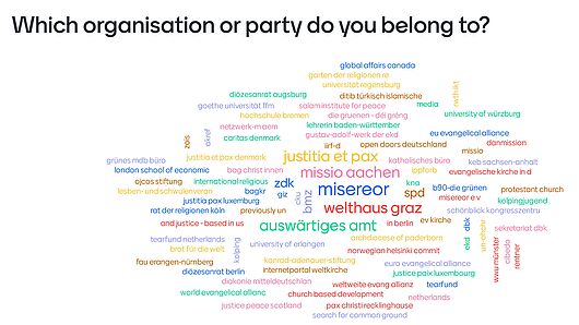 Mentimeter-Umfrage: „Which organisation or party do you belong to?”