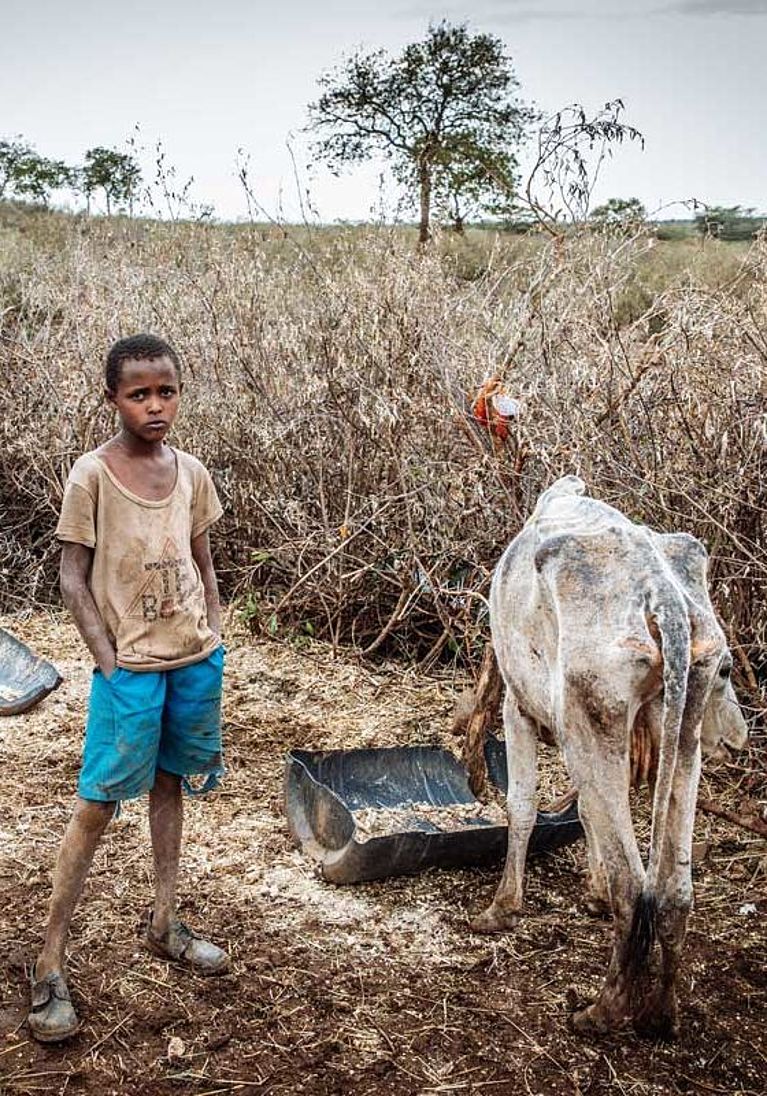 Ein Junge und eine abgemagerte Kuh im Bundesstaat Samburu, Kenia