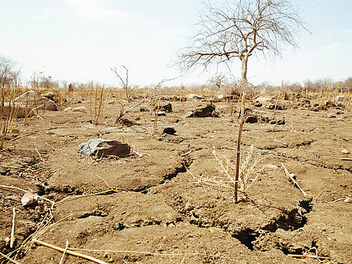Bild eines vertrockneten Feldes in Afrika.