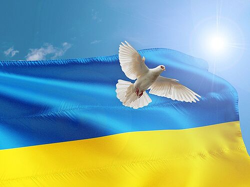 Eine Friedenstaube und die Flagge der Ukraine