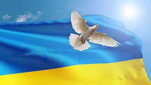 Eine Friedenstaube und die Flagge der Ukraine