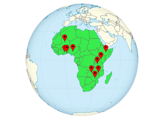 Netzwerk Pastoral Afrika